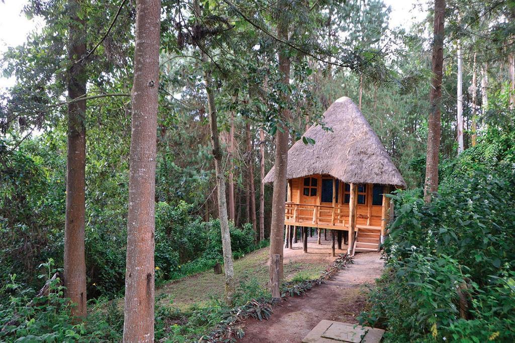 Lake Bunyonyi Eco Resort Chabahinga Dış mekan fotoğraf