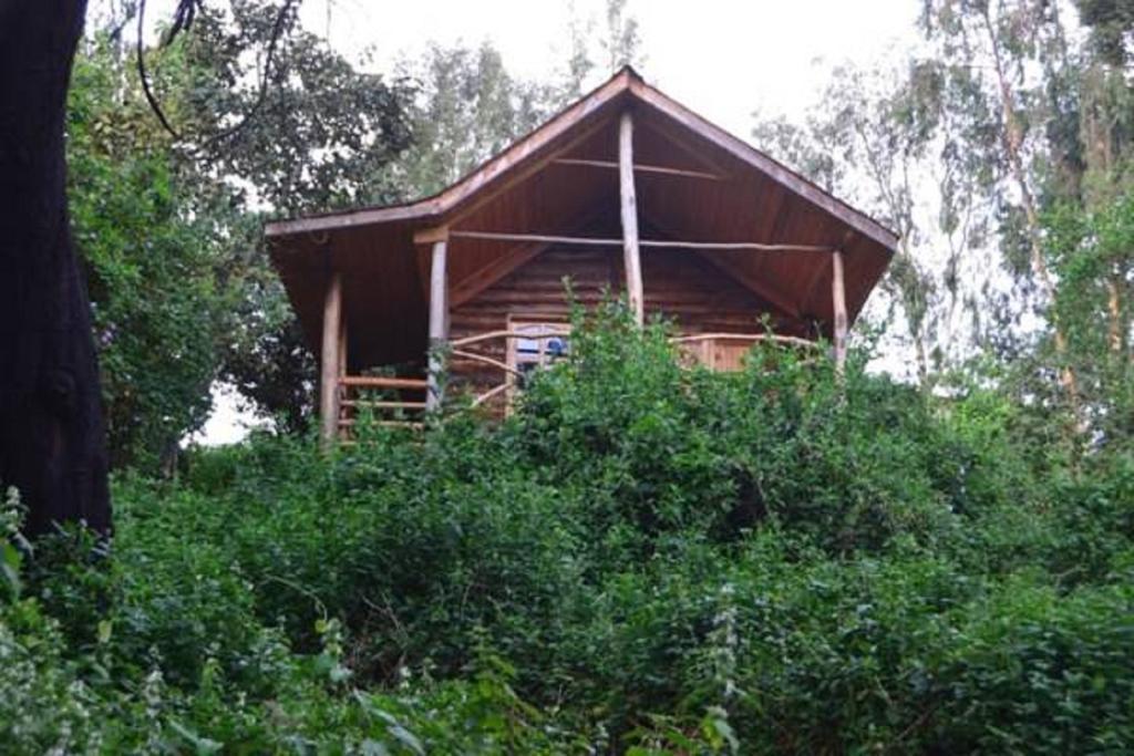 Lake Bunyonyi Eco Resort Chabahinga Oda fotoğraf