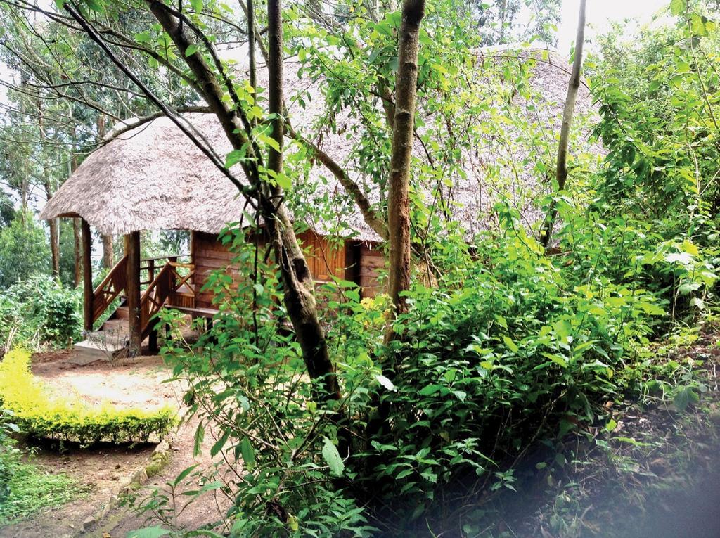Lake Bunyonyi Eco Resort Chabahinga Dış mekan fotoğraf